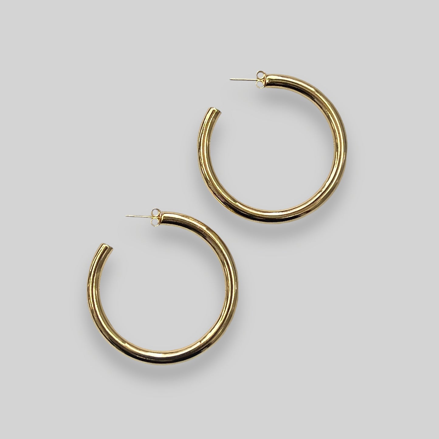 Monica Hoops