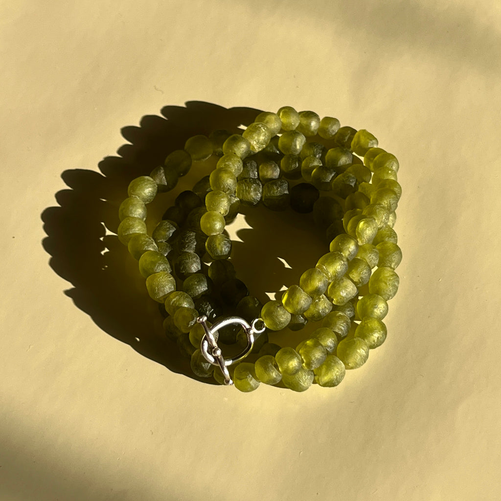 Fern