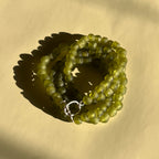 Fern