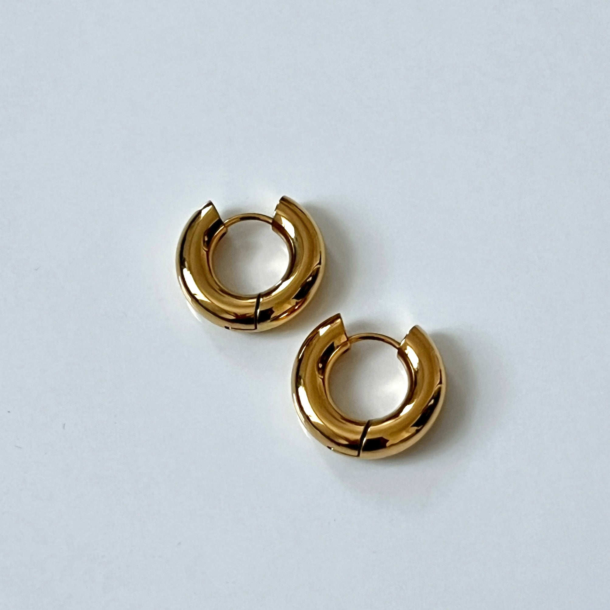 Bianca Hoops